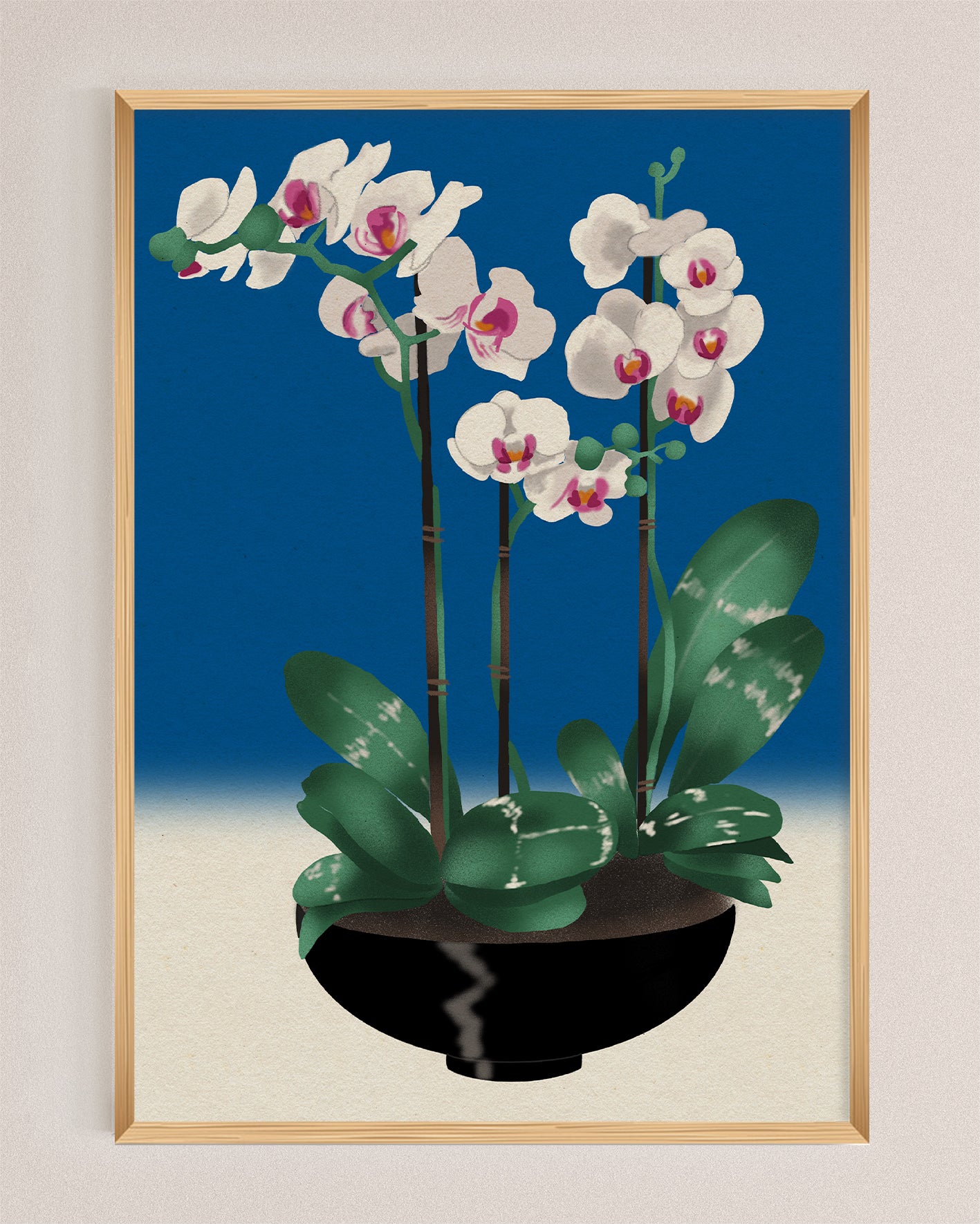 Orchid