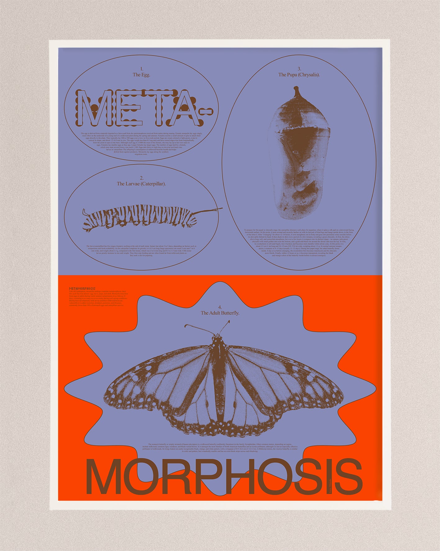 Metamorphosis