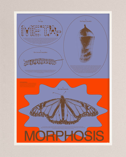 Metamorphosis