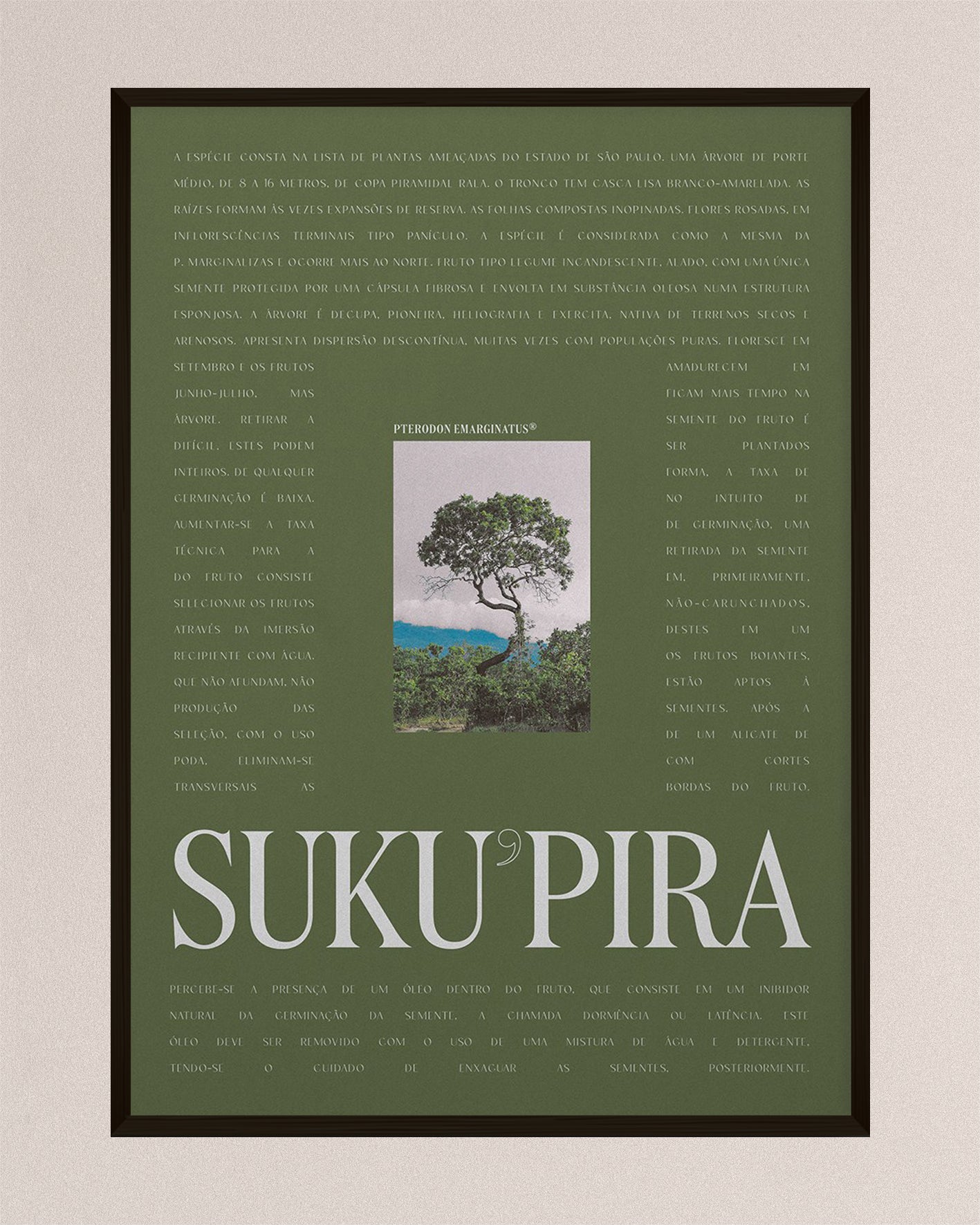 Brazilian Suku’pira - Green