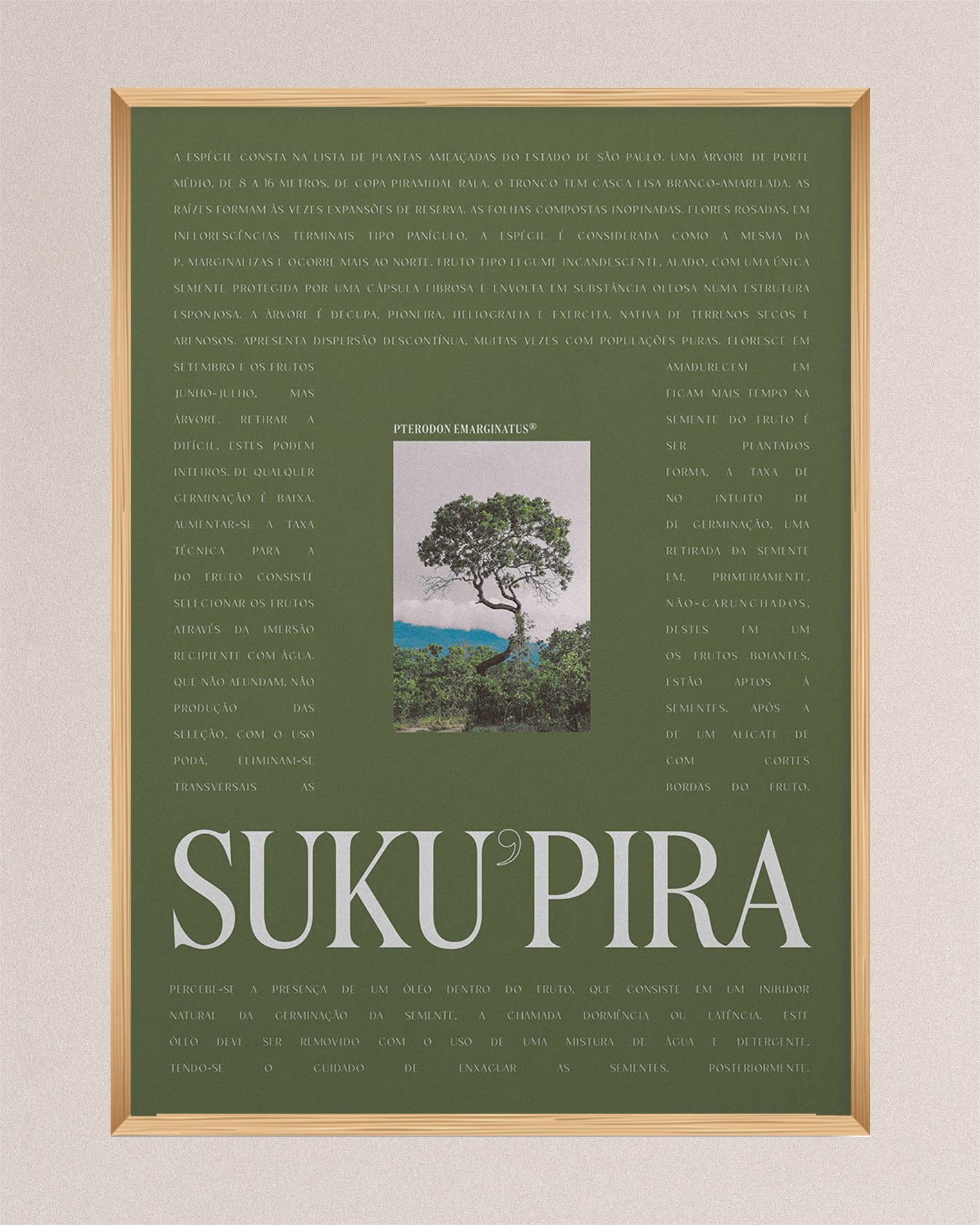 Brazilian Suku’pira - Green