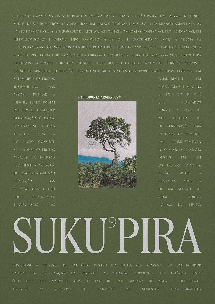 Brazilian Suku’pira - Green