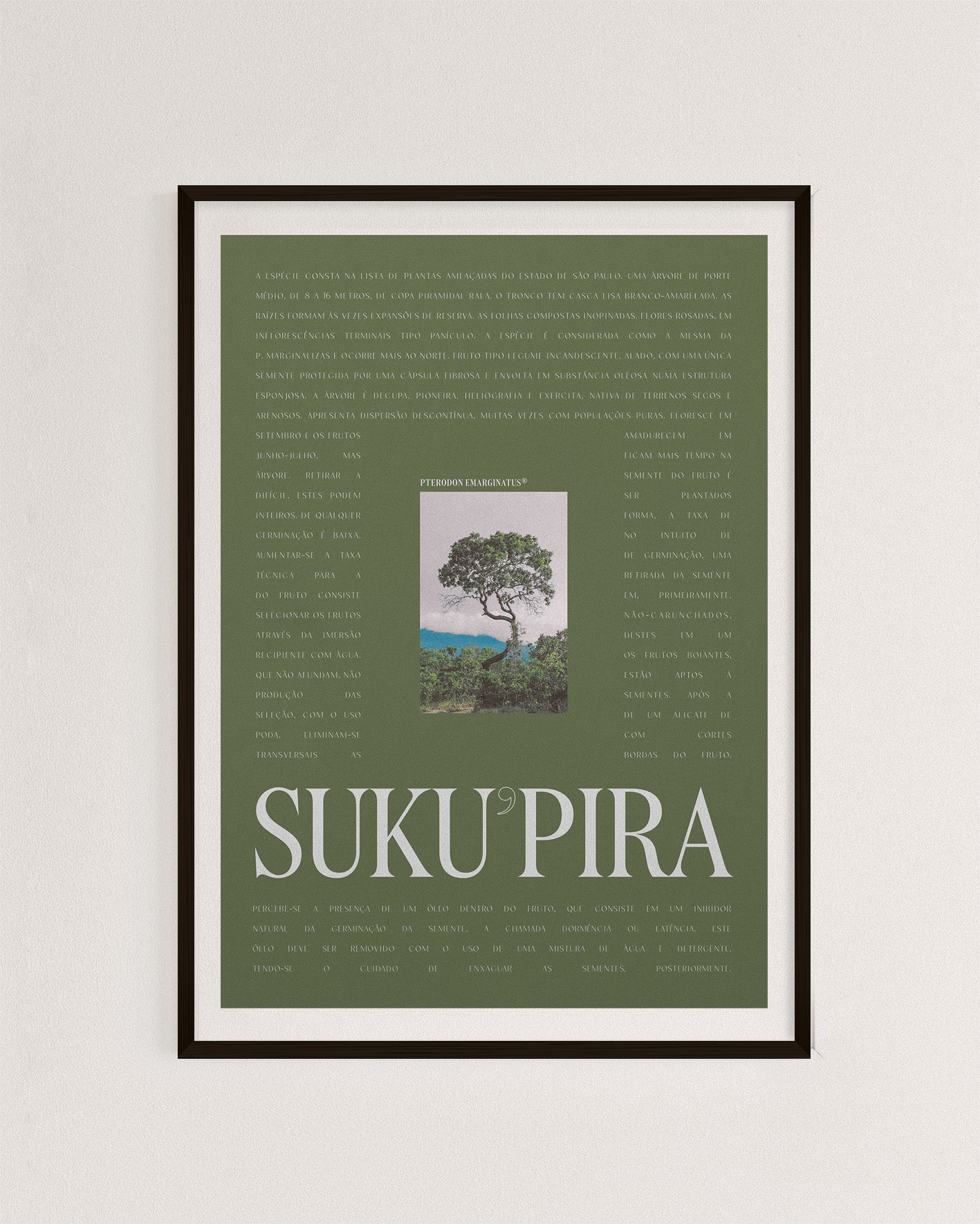Brazilian Suku’pira - Green